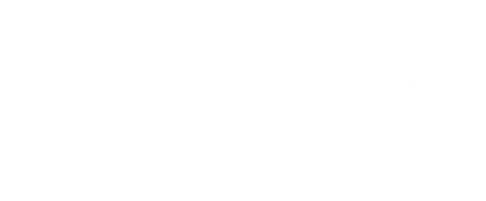 Enel Logo